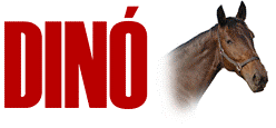 dino_r.gif